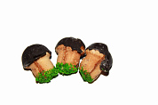 печенье Мтм грибок в шоколаде 4,5кг (тел.)
