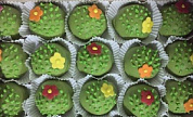 десерт "Фламандцы" Кактусы 1,6кг